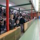 Robert-Mayer-Gymnasium Heilbronn